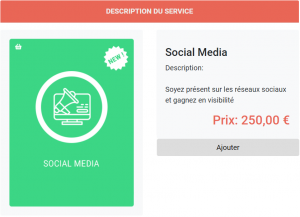 Parmi les services proposés, le client peut en sélectionner un (ici Social Media) et faire une demande d'ajout de ce service en appuyant sur le bouton "Ajouter"